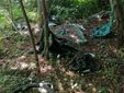 La pulizia lungo le sponde del Pellice