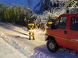 Luserna San Giovanni rimozione alberi caduti sulle strade innevate gennaio 2021