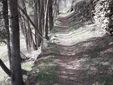 Scorci del nuovo sentiero