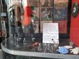 La vetrina di &quot;Rocker - Dischi&quot;