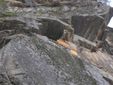 Rifugio valdesi Roccho de l'Ampereur (Foto di Massimo Bosco)