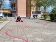 I lavori in corso ai Giardini Carena