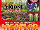 Vigone si prepara a rivestirsi di fiori