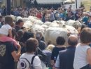 (Foto di repertorio) (Foto di repertorio)