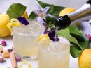 Sfide tra cappuccini e cocktail sparkling al Cfiq di Frossasco