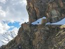 La Strada del Colle della Vecchia (foto di Aree Protette Alpi Cozie) La Strada del Colle della Vecchia (foto di Aree Protette Alpi Cozie)