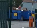 La persona tra i container