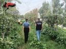 Pinerolese, controlli nelle aziende agricole Pinerolese, controlli nelle aziende agricole