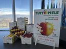 Il tempo di Tuttomele: Cavour si prepara per la 46esima edizione della Fiera Nazionale [VIDEO]