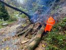 Gli Aib alla Comba Carbonieri Gli Aib alla Comba Carbonieri