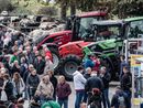 Una foto della scorsa edizione di Claudio Bonifazio Una foto della scorsa edizione di Claudio Bonifazio