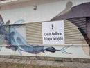 Nuova gestione per il Polo culturale Levi-Scroppo di Torre Pellice