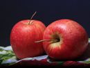 Il distretto del cibo pinerolese diventa realtà