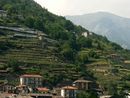 Dalle antiche vie della Val San Martino alla passeggiata nelle vigne di Ramìe