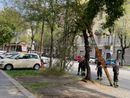 Nuova bomba d'acqua a Torino: grandine, frane, alberi caduti e traffico in tilt. Scoperchiato il tetto della scuola Salvemini