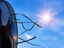 In settimana tornaneranno ad alzarsi le temperature a Torino e provincia In settimana tornaneranno ad alzarsi le temperature a Torino e provincia