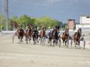 Domenica anche l'ippodromo di Vinovo ricorda il Grande Torino