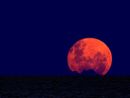 Eclissi totale in Italia, stasera attesa la 'luna rossa'