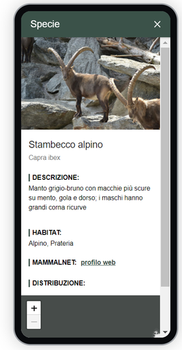 E' questo l'obiettivo del progetto MammalNet