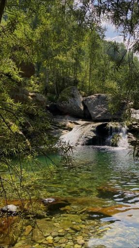 Scivola ai tumpi e finisce al Cto