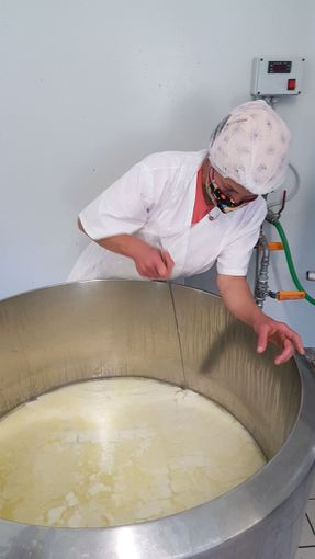 Un viaggio nel mondo del formaggio di capra, dove il rispetto per l’ambiente e per gli animali sposa tradizione e innovazione