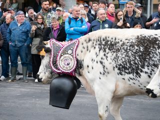 (Foto di Christian Bosio)