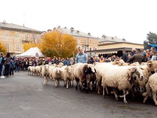 (Foto di Christian Bosio)
