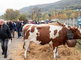 (Foto di Christian Bosio)
