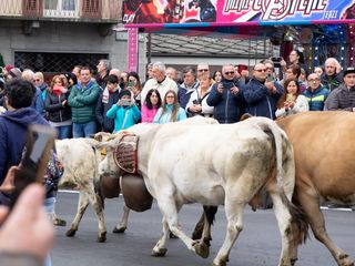 (Foto di Christian Bosio)