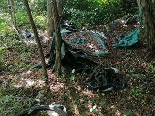 La pulizia lungo le sponde del Pellice