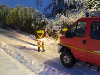 Luserna San Giovanni rimozione alberi caduti sulle strade innevate gennaio 2021