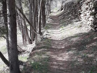 Scorci del nuovo sentiero