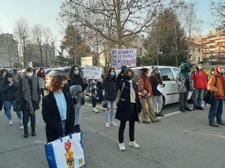 Pinerolo manifestazione studenti 29 gennaio 2029
