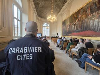 Bilancio annuale del carabinieri forestali