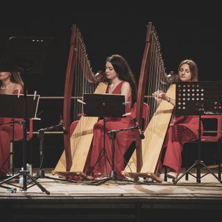 Dal 27 agosto al 1° settembre 2024 a Saluzzo avranno luogo il Concorso e il Festival Internazionale Suoni d’Arpa 2024