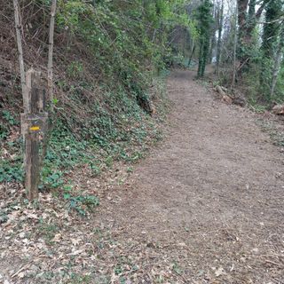 La pista ripulita