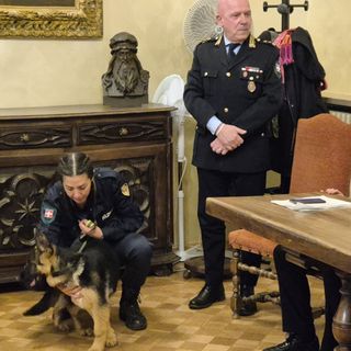 La cucciola di pastore tedesco Faida con l'agente Serena De Carli e il comandante Federico Battel