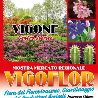 Vigone si prepara a rivestirsi di fiori