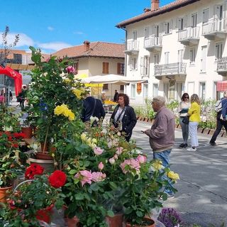 Giovani artisti, Fast Flowers Food, uncinetti e ricambi vintage: le novità di Vigoflor 2025