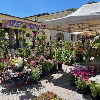 (Foto di repertorio)