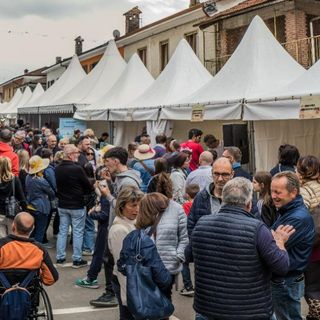 Profumo di formaggio e suoni di festa: a Scalenghe torna la fiera lattiero casearia