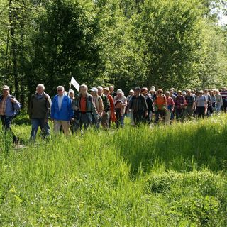 (Foto di repertorio)