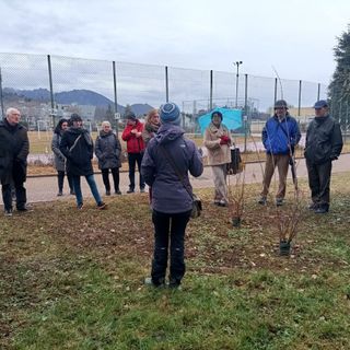 A Pinerolo si celebrano resistenza, speranza e rinnovamento con i ‘Giorni del Calicantus’