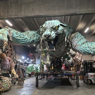 La tigre durante i lavori di preparazione nel capannone di Gemerello