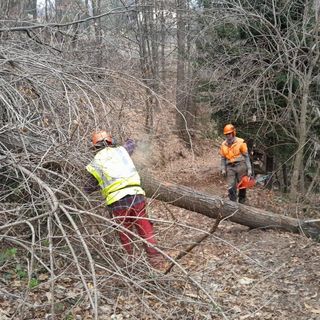 I volontari al lavoro