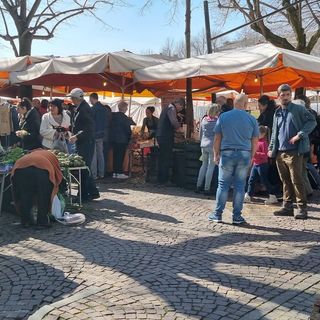 Voci dal mercato di Pinerolo: “Bisogna risistemare i banchi e dare servizi efficienti alla clientela”