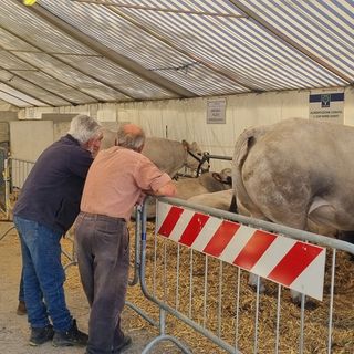 Cavour Carne cambia pelle e si trasforma in ‘Terre e Cibo’