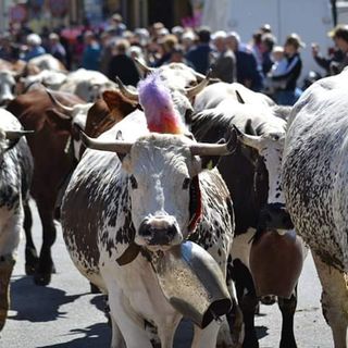 Un momento di una passata edizione de ‘La Fîra ’d la Calà’ di Bobbio Pellice
