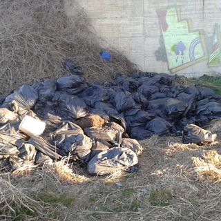 Nuovi abbandoni di rifiuti: appello ai candiolesi per segnalarli (FOTO)