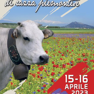 Per ‘Cavour Carne’ in arrivo anche i colombi, gli hobbisti e gli amanti del tuning